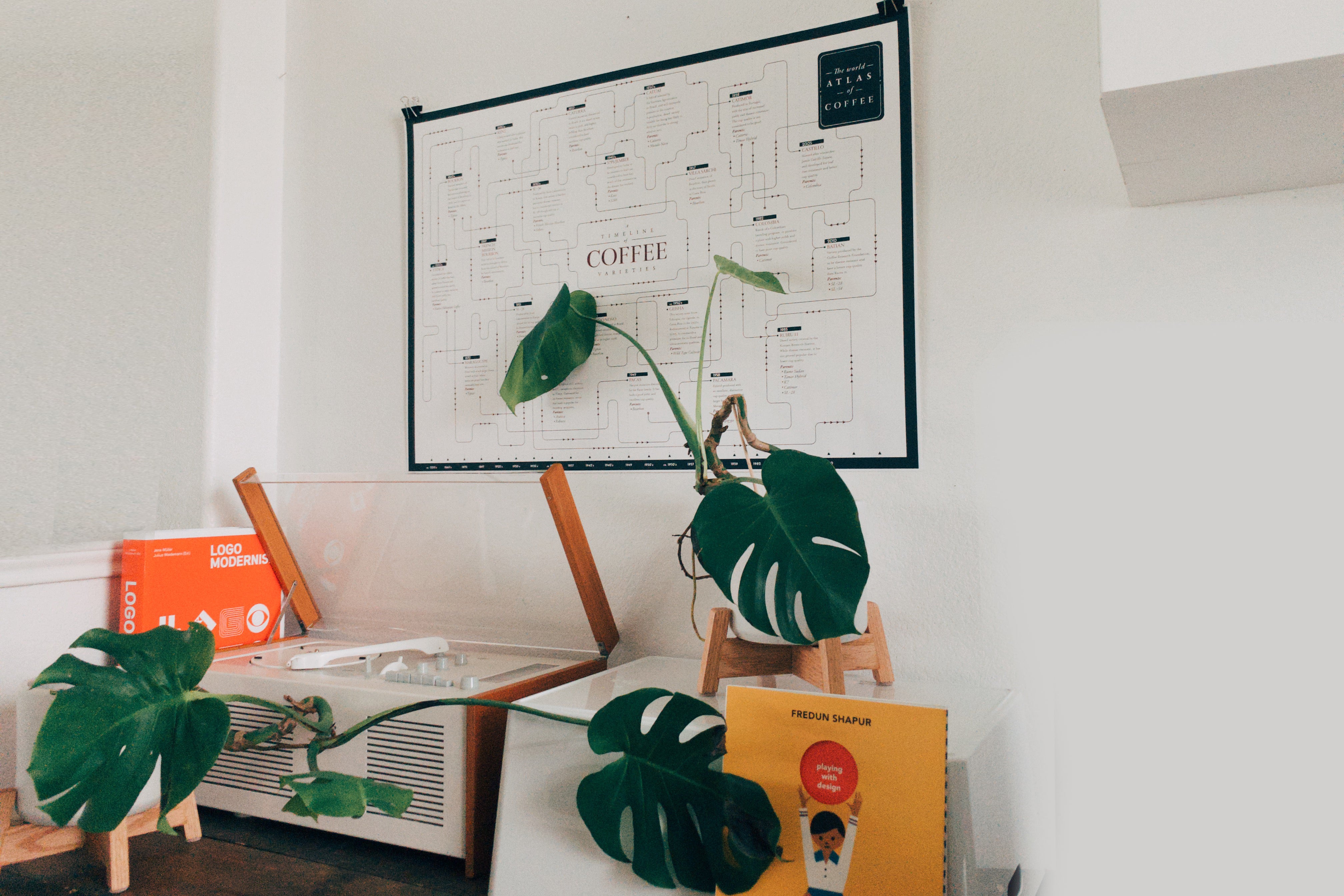 Coffee Variety Timeline - Print