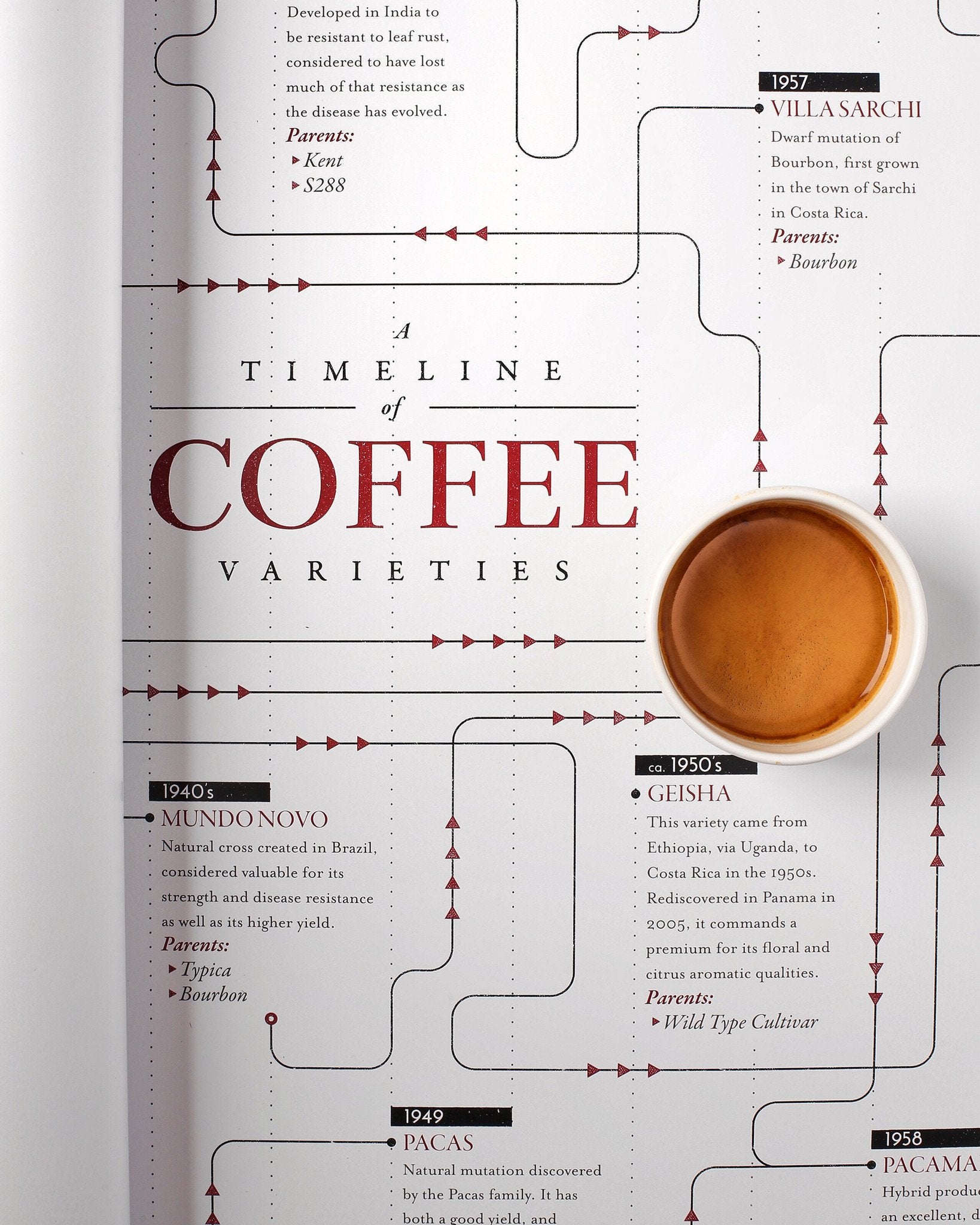 Coffee Variety Timeline - Print