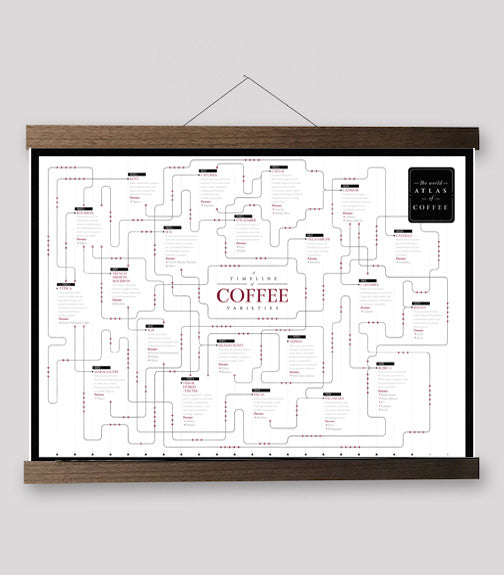 Coffee Variety Timeline - Print