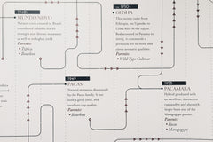 Coffee Variety Timeline - Print